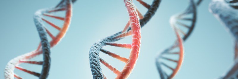 Anthropic 承认自营湿实验室做生物实验